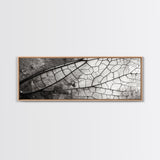 Macro Insect Wing, Abstract Nature Texture, Modern Neutral Wall Decor, Framed Canvas Print, Office Art, Monochrome Macro Photography