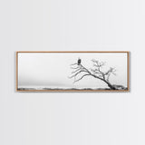Bald Eagle, Tree Perch, Foggy Coast, Framed Canvas Print, Wildlife Photography, Cabin Wall Art, Rustic Minimalist Decor