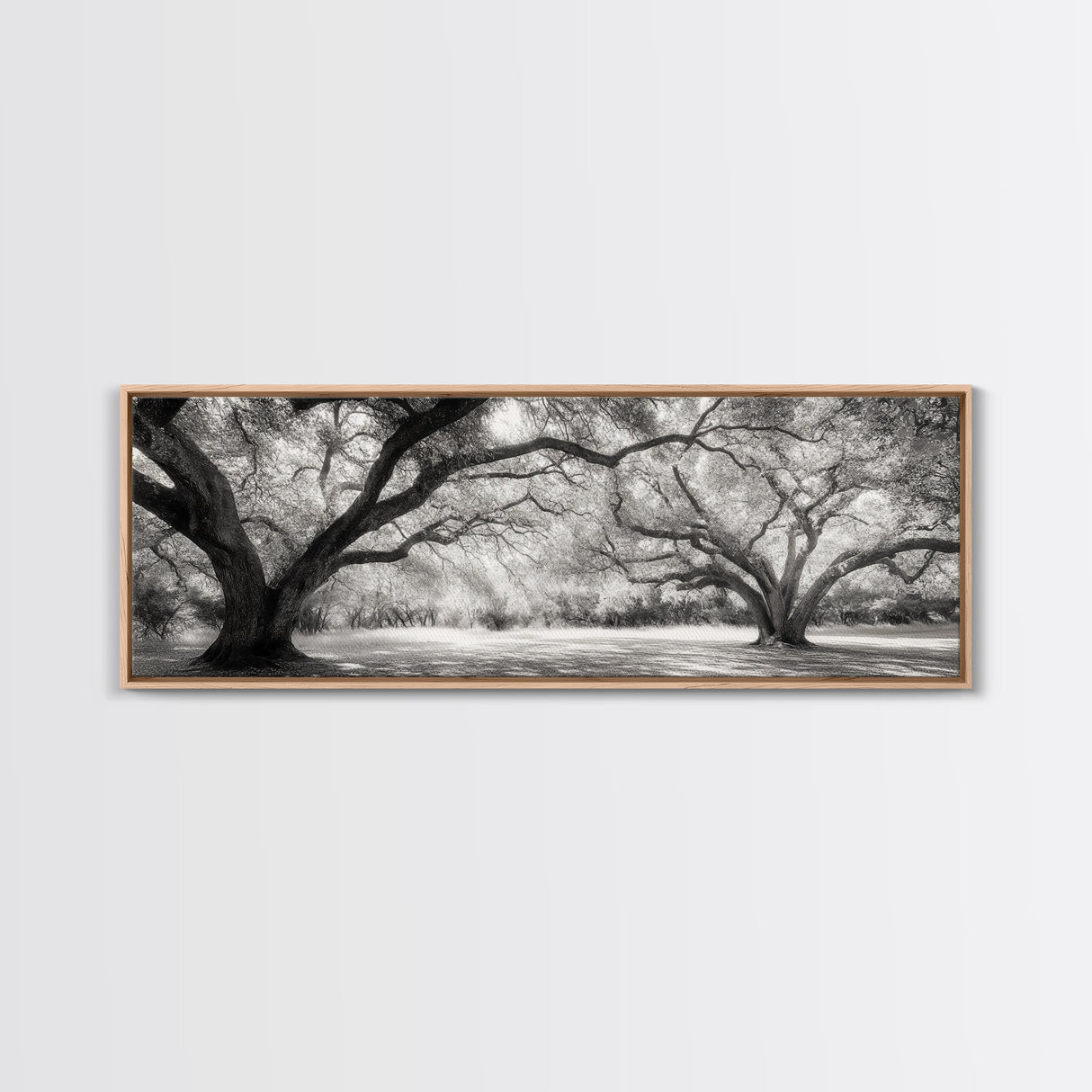 Sprawling Trees, Oak Forest, Sunlit Canopy, Majestic Branches, Canvas Print, Nature Wall Art, Boho Decor, Living Room Statement Piece