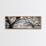 Sprawling Trees, Oak Forest, Sunlit Canopy, Majestic Branches, Canvas Print, Nature Wall Art, Boho Decor, Living Room Statement Piece