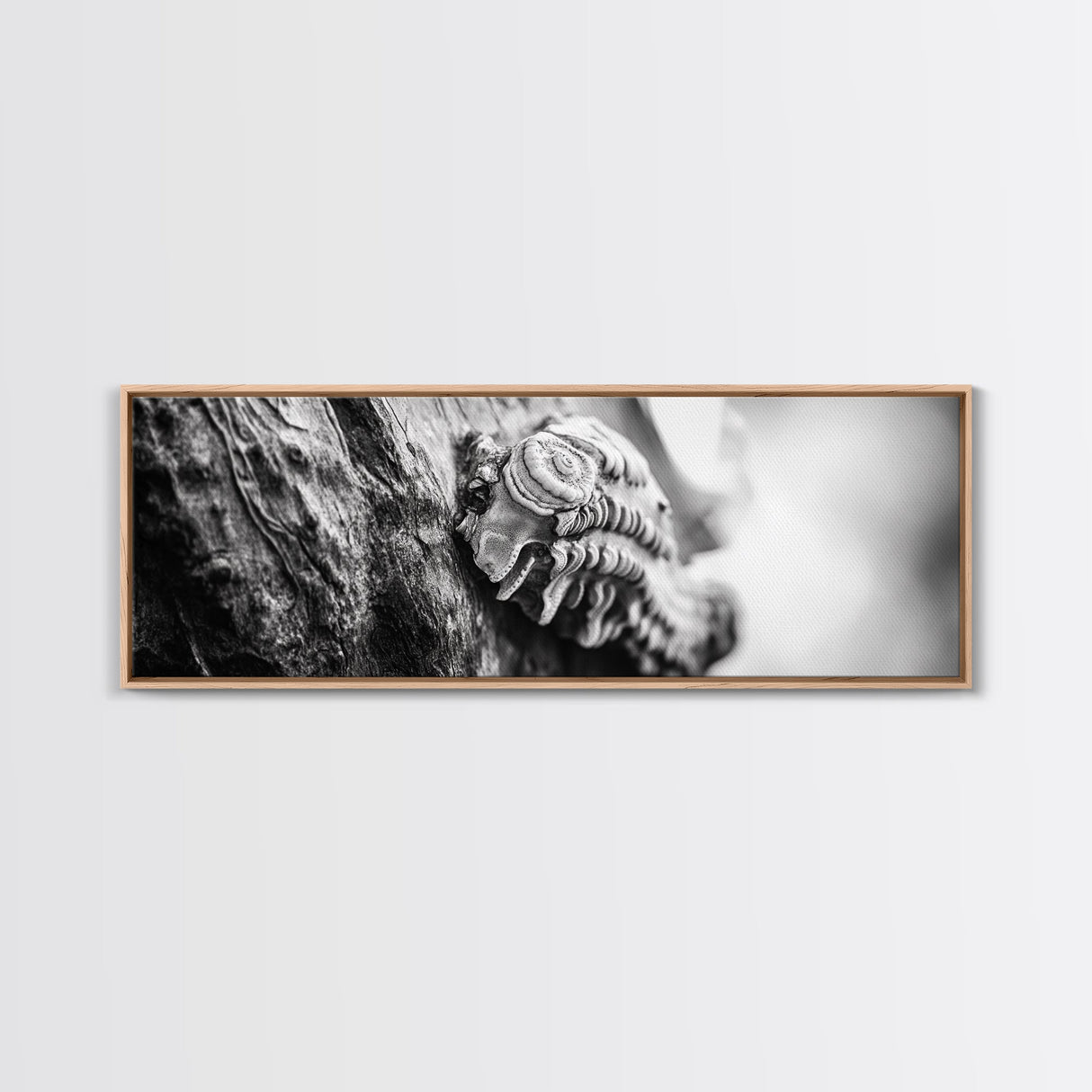 Tree Fungus, Natural Texture, Close-Up Growth, Wood Grain, Framed Canvas Print, Nature Wall Art, Boho Bedroom Decor, Botanical Print