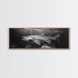 Underwater Fish, Lake Trout, Black and White Ocean, Framed Canvas Print, Coastal Bathroom Art, Fisherman Gift, Nautical Wall Decor