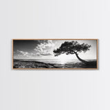 Lone Tree, Coastal Sunset, Ocean Horizon, Framed Canvas Print, Tranquil Landscape Art, Meditation Room Wall Art, Nature Zen Decor