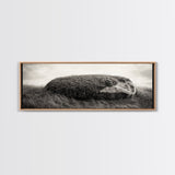 Heather Rock, Grassy Field, Natural Simplicity, Earthy Tones, Canvas Print, Rustic Home Decor, Minimalist Nature Wall Art, Fall Inspired Art