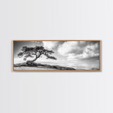 Windswept Tree, Coastal Nature, Ocean Cliff View, Framed Canvas Print, Zen Wall Art, Minimalist Decor, Calm Living Room Accent
