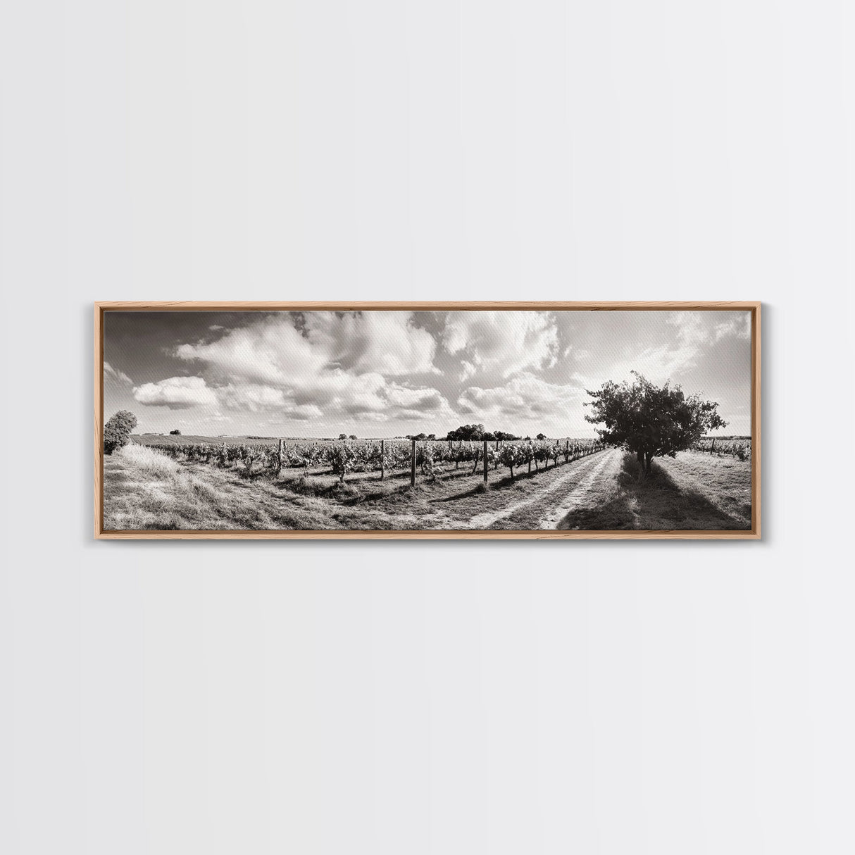 Vineyard Rows, Sunny Fields, Cloudy Sky, Canvas Print, Rustic Country Decor, Dining Room Wall Art, Wine Country Landscape, Farmhouse Style