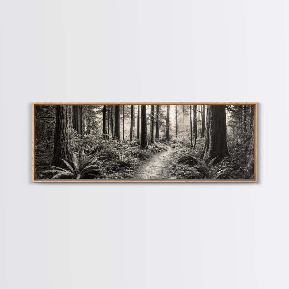Redwood Forest, Nature Path, Fern Understory, Framed Canvas Print, Moody Nature Photography, Office Wall Art, Forest Bathing Vibes