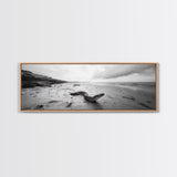 Snake On Beach, Coastal Wildlife, Dramatic Black and White, Framed Canvas Print, Nature Wall Art, Minimalist Decor, Office Statement Art