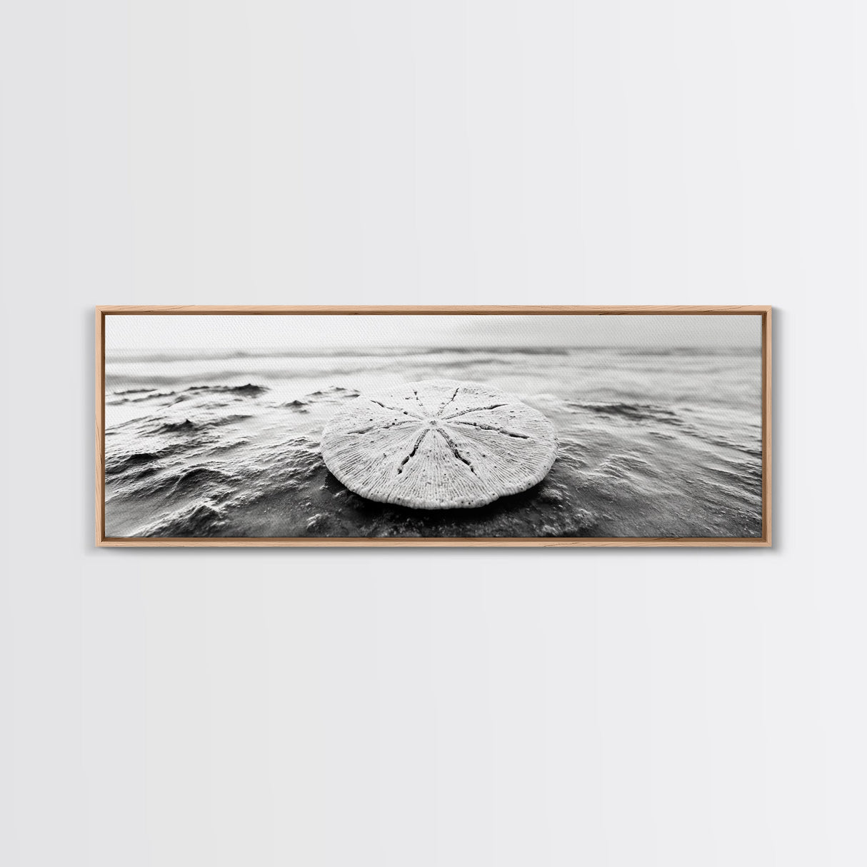 Sand Dollar, Ocean Shore, Calm Waters, Canvas Print, Coastal Wall Art, Minimalist Bathroom Decor, Seashell Beach Photography