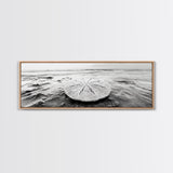 Sand Dollar, Ocean Shore, Calm Waters, Canvas Print, Coastal Wall Art, Minimalist Bathroom Decor, Seashell Beach Photography