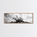 Windswept Kelp Rock, Ocean Botanical, Nature Inspired Canvas Print, Boho Style Art, Bathroom Wall Art, Sea Life Photography