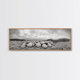 Scallop Shell Cluster, Dune Beach Scene, Canvas Print, Coastal Kitchen Decor, Minimalist Shell Wall Art, Natural Beach Aesthetic