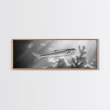 Silver Fish Closeup, Underwater Life, Marine Wildlife Art, Black and White Framed Canvas Print, Coastal Bathroom or Den Wall Art