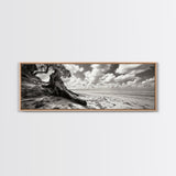 Coastal Tree Roots, Windswept Beach, Natural Form, Framed Canvas Print, Boho Wall Art, Entryway Decor, Beach House Aesthetic