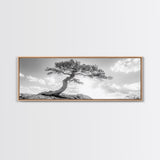Lone Curved Tree, Zen Nature Print, Minimalist Landscape, Calming Decor, Framed Canvas Print, Bedroom Wall Statement