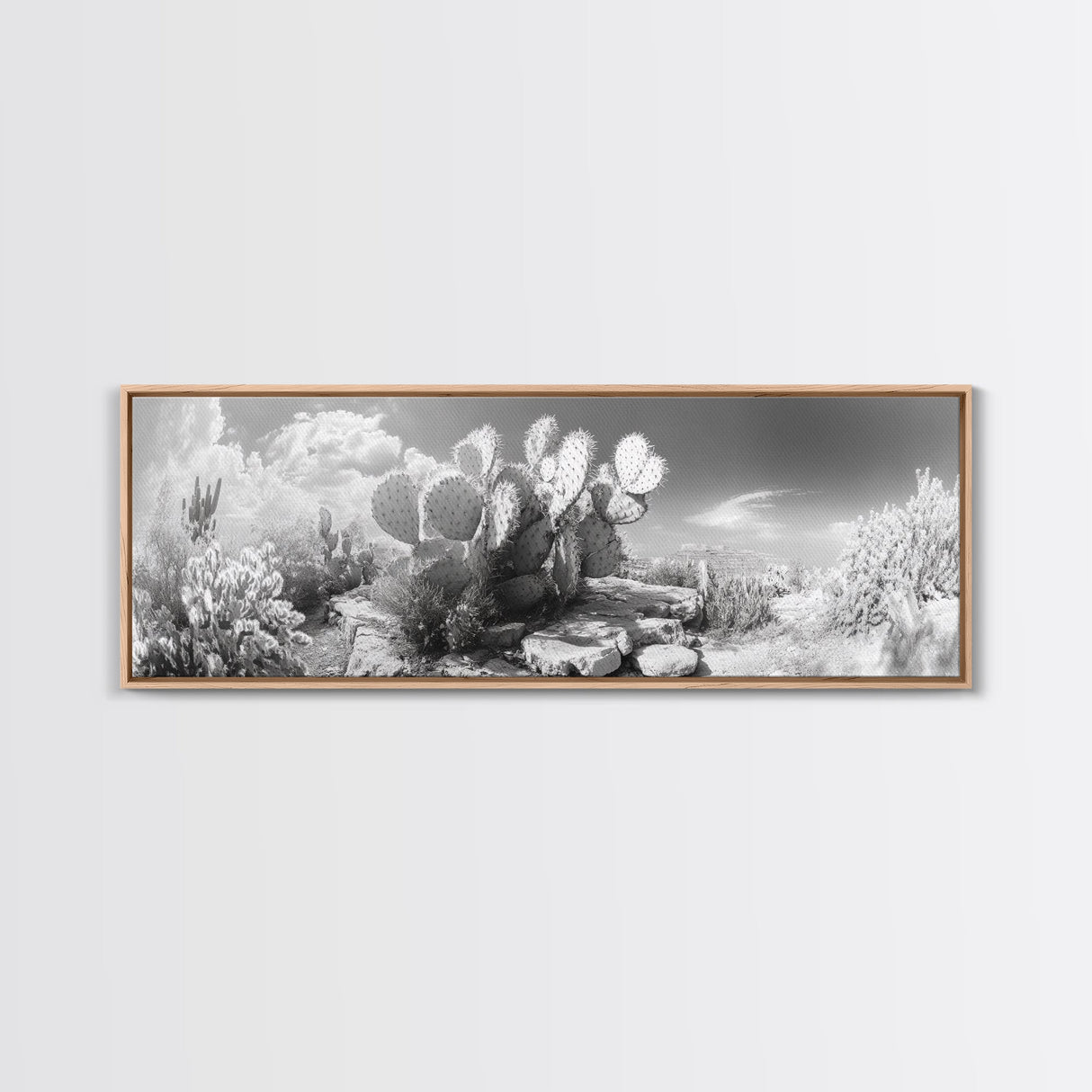 Desert Cactus Garden, Sunlit Southwest Scene, Nature Landscape Art, Canvas Print, Rustic Living Room Wall Decor, Boho Style