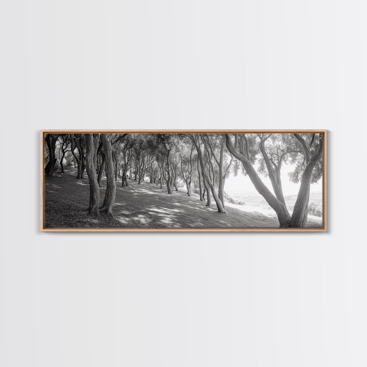 Forest Path, Tree Tunnel, Light Shadows, Woodland Magic, Framed Canvas Print, Nature Lover Gift, Entryway Wall Art, Modern Rustic Style