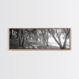 Forest Path, Tree Tunnel, Light Shadows, Woodland Magic, Framed Canvas Print, Nature Lover Gift, Entryway Wall Art, Modern Rustic Style