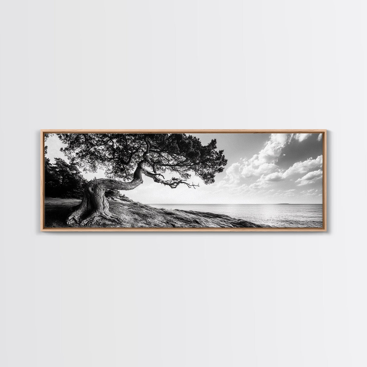 Coastal Tree, Wind Bent, Seaside Beauty, Nautical Serenity, Canvas Print, Nature Wall Art, Minimalist Decor, Coastal Living Room Art
