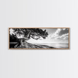 Coastal Tree, Wind Bent, Seaside Beauty, Nautical Serenity, Canvas Print, Nature Wall Art, Minimalist Decor, Coastal Living Room Art