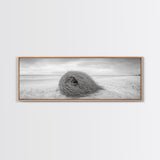 Tumbleweed Nest, Desert Beach, Natural Sculpture, Coastal Simplicity, Canvas Print, Modern Boho Wall Art, Neutral Home Aesthetic
