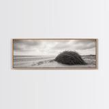 Windswept Dunes, Coastal Brush, Tumbleweed Form, Beach Nature, Framed Canvas Print, Fall Wall Art, Rustic Decor, Neutral Bedroom Style