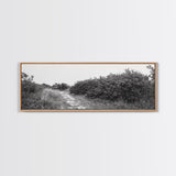 Wild Apple Path, Nature Overgrowth, Autumn Orchard Trail, Canvas Print, Fall Farmhouse Kitchen Art, Rustic Seasonal Wall Decor