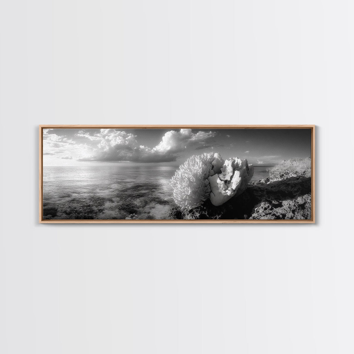 Sea Coral, Calm Ocean, Reef Textures, Framed Canvas Print, Coastal Bathroom Art, Monochrome Ocean Decor, Nature Photography Accent