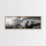 Sea Coral, Calm Ocean, Reef Textures, Framed Canvas Print, Coastal Bathroom Art, Monochrome Ocean Decor, Nature Photography Accent