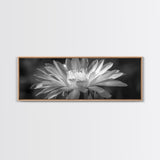 Soft Bloom, Desert Cactus Flower, Close-Up Botanical, Modern Black White Art, Framed Canvas Print, Bathroom Wall Art, Nature Photography