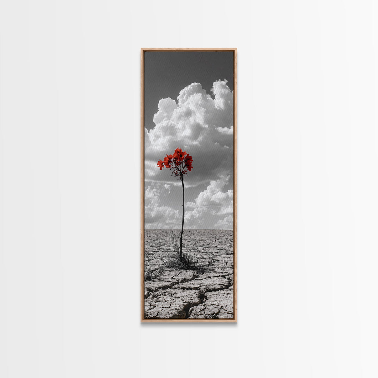 Red Bloom, Desert Flower, Solitary Beauty, Bold Nature, Framed Canvas Print, Dramatic Wall Art, Modern Bedroom Decor, Minimalist Botanical Art