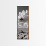 Red Bloom, Desert Flower, Solitary Beauty, Bold Nature, Framed Canvas Print, Dramatic Wall Art, Modern Bedroom Decor, Minimalist Botanical Art