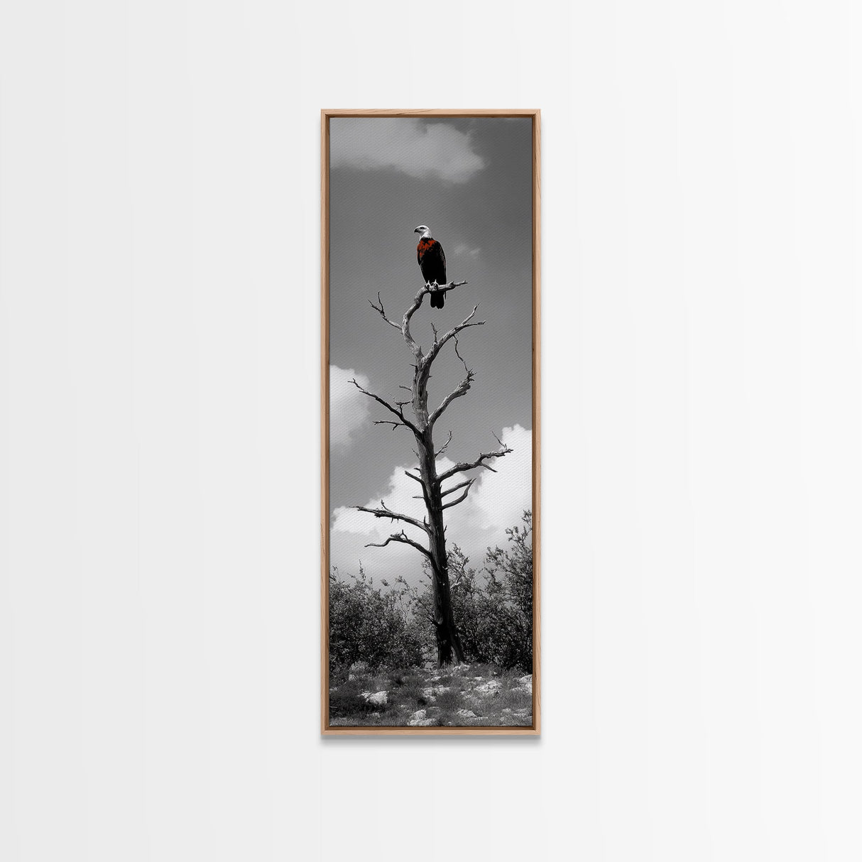 Lone Eagle, Tree Perch, Wild Raptor, Fierce Freedom, Canvas Print, Rustic Wildlife Wall Art, Cabin Lodge Decor, Dramatic Nature Scene