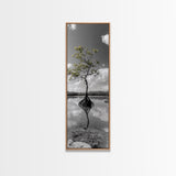 Mangrove Tree, Reflected Roots, Tranquil Nature, Coastal Zen Framed Canvas Print, tropical minimalist wall art, spa room decor