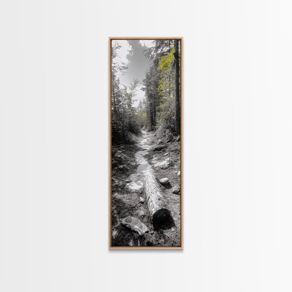 Forest Path, Autumn Leaves, Nature Trail, Framed Canvas Print, Black and White Wall Art, Cabin Decor, Rustic Hallway Accent