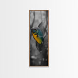 Bluegill Fish, Underwater Life, Bold Colors, Freshwater Beauty, Framed Canvas Print, Nature Art, Bathroom Wall Art, Aquatic Decor