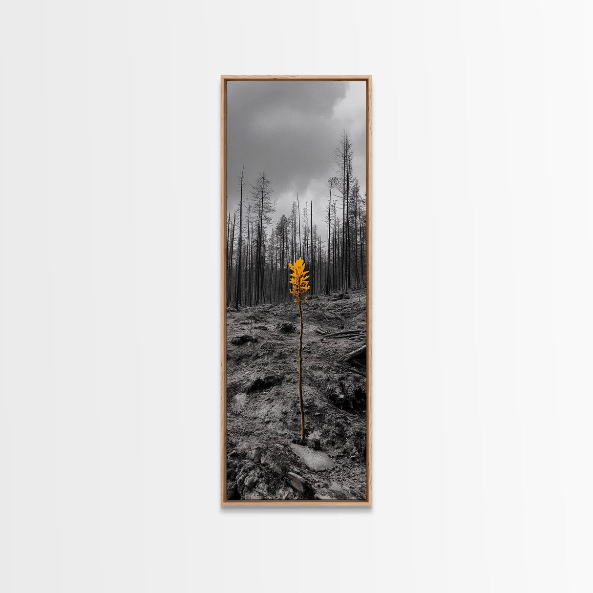 Lone Sprout, Forest Renewal, Emotional Nature Scene, Moody Landscape Art, Framed Canvas Print, Autumn Wall Decor, Rustic Nature Style