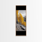 Golden Aspens, Fall Forest, Mountain Trees, Framed Canvas Print, Autumn Wall Art, Nature Cabin Decor, Fall Foliage, Rustic Living Room