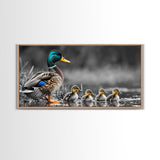 Duck Family, Pond Life, Nature Scene, Wildlife Photography, Canvas Print, Nursery Wall Art, Cute Animal Print, Nature Lover Gift Idea