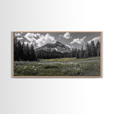 Mountain, Meadow, Wildflowers, Alpine meadow bloom and majestic peak on this Framed Canvas Print, serene Nature Wall Art for Entryway