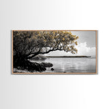 Mangrove Tree, Coastal Roots, Golden Leaves, Ocean View, Framed Canvas Print, Beach House Art, Nature Wall Decor, Minimal Coastal Vibe