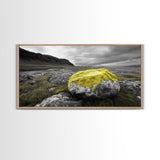 Yellow Moss Rock, Moody Nature Photography, Icelandic Landscape Art, Wilderness Inspired Canvas Print, Rustic Cabin Wall Decor