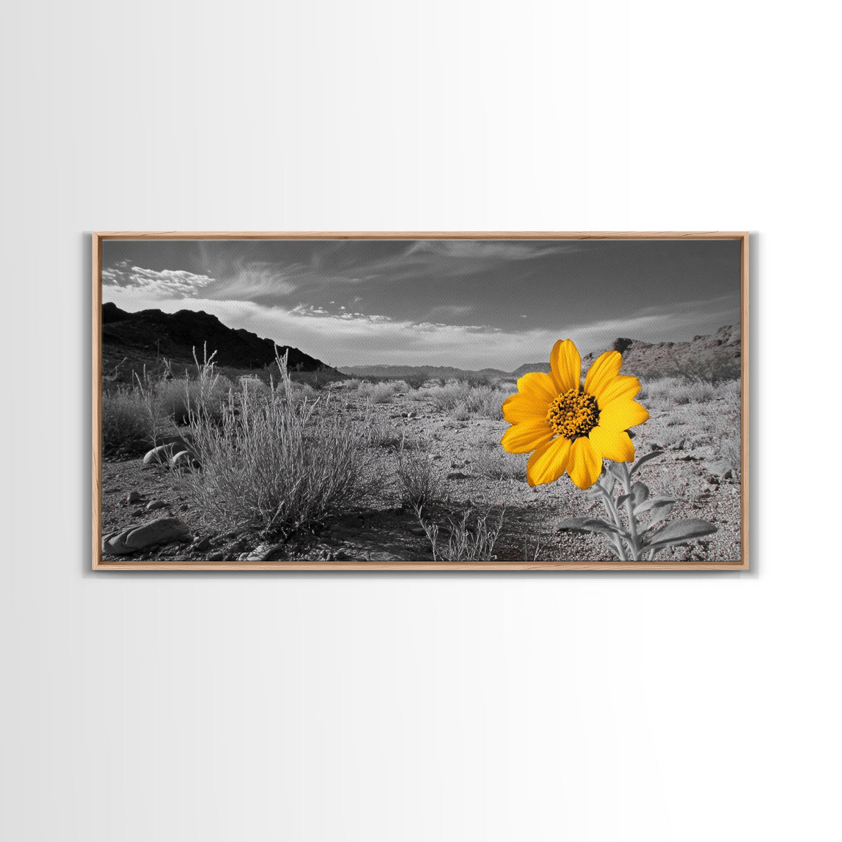 Yellow Flower, Desert Bloom, Monochrome Landscape, Canvas Print, Botanical Wall Art, Minimalist Nature Decor, Modern Kitchen Accent