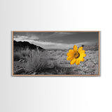 Yellow Flower, Desert Bloom, Monochrome Landscape, Canvas Print, Botanical Wall Art, Minimalist Nature Decor, Modern Kitchen Accent