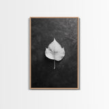 Monochrome Leaf, Nature Minimal, Still Life, Moody Art, Framed Canvas Print, Fall Wall Art, Kitchen Decor, Neutral Modern Aesthetic