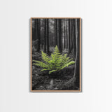 Green Fern, Forest Focus, Lush Nature, Woodland Light, Framed Canvas Print, Botanical Wall Art, Bedroom Decor, Minimalist Plant Art
