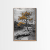 Golden Tree View, Nature Serenity, Fall Lake Art, Peaceful Pine, Framed Canvas Print, living room wall art, minimalist landscape print