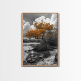 Mangrove Tree, Coastal Roots, Swamp Nature, Fall Tones Canvas Print, Tropical Wetlands Wall Art, Earthy Living Room Decor, Moody Art