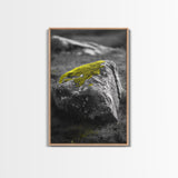 Mossy Stone Closeup, Earthy Nature Texture, Minimal Landscape Print, Framed Canvas Print, Modern Office Wall Decor, Zen Rock Art