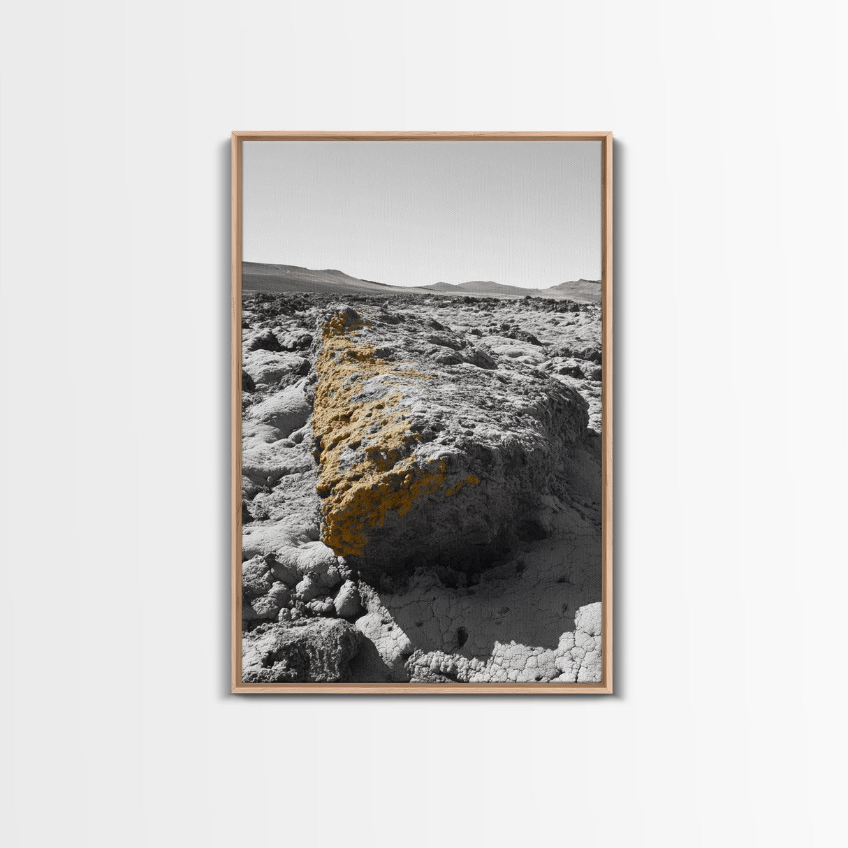 Yellow Lichen Rock, Monochrome Landscape, Desert Texture, Canvas Print, Rustic Wall Art, Minimalist Decor, Entryway or Office Art